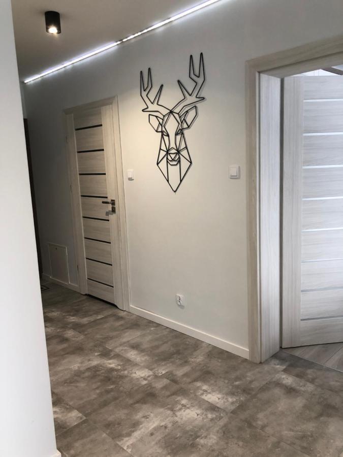 Apartament Happiness Jelení Hora Exteriér fotografie